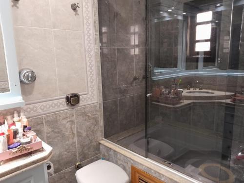 布卢梅瑙Lindissíma casa com piscina Blumenau próx praias的带淋浴、卫生间和盥洗盆的浴室