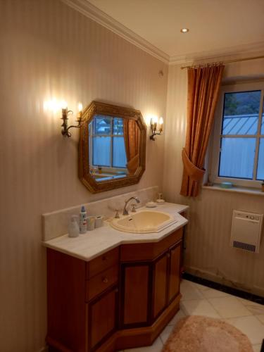 蒙德塞Ferienhaus am Mondsee的一间带水槽和镜子的浴室