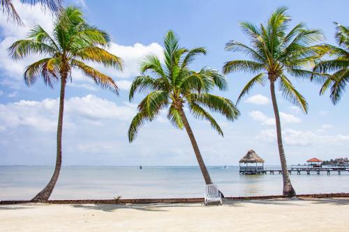 圣佩德罗C4 - Villa McDonald的海滩上的两棵棕榈树,设有码头