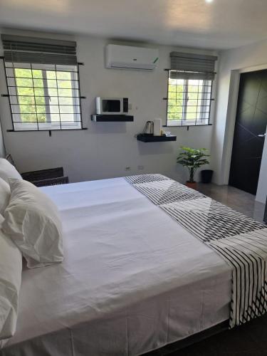 金斯敦Amharic的卧室设有一张大白色床和两个窗户