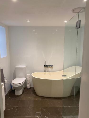 悉尼Garden flat, NORTH SYDNEY的带浴缸和卫生间的浴室。