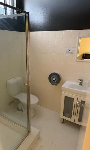 圣乔治St George Hotel Motel的带淋浴、卫生间和盥洗盆的浴室