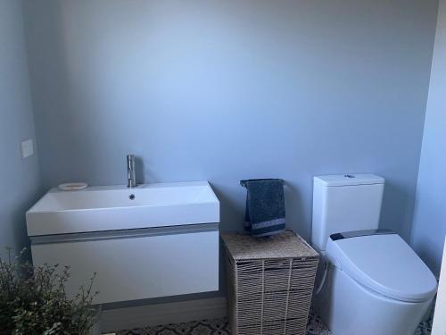 布伦海姆Stay@10的浴室配有白色水槽和卫生间。