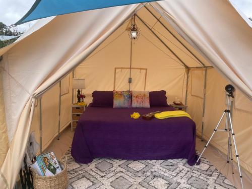 夏威夷欧申维尤Tiki Cabana的帐篷内的卧室,配有一张床和一台摄像头