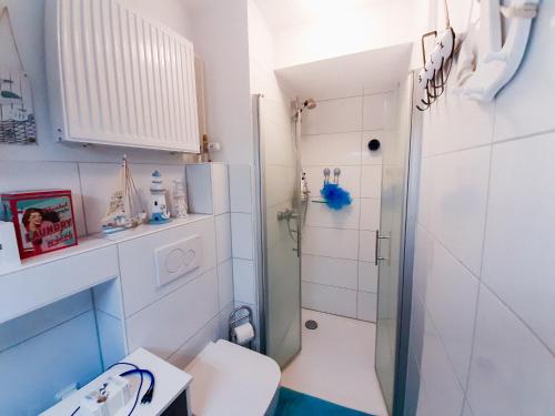 哥廷根Goethes Haus的带淋浴和卫生间的小浴室