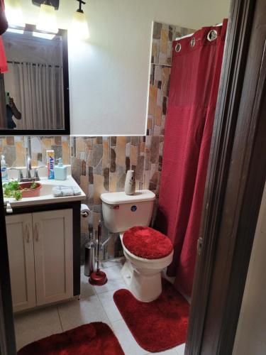 Dickenson BaySilverbuttons Apartments & Eats的浴室设有卫生间和红色淋浴帘