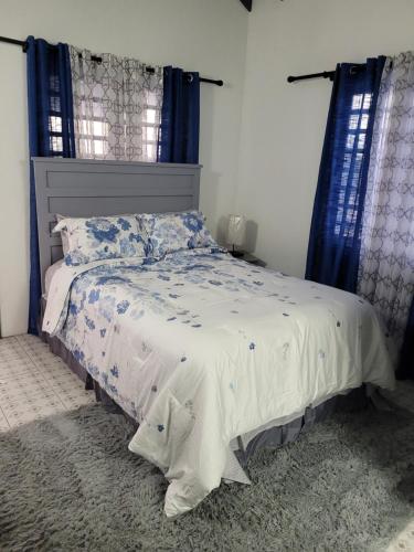 Dickenson BaySilverbuttons Apartments & Eats的卧室内的一张床铺,配有蓝色窗帘