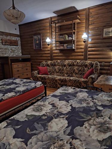IdzikówMagnoliowy Zakątek的一间带两张床和一张沙发的客厅