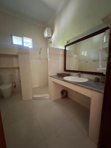 帕杰UKAYA VILLA的一间带水槽和镜子的浴室