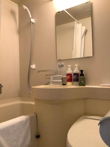 四万十市山中村皇冠酒店的一间带水槽、卫生间和镜子的浴室