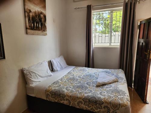 卢萨卡Mukala Lodge的一间卧室设有一张床和一个窗口
