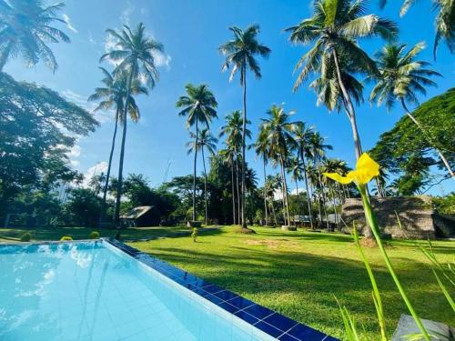 库鲁内格勒Deduru Cabana Nature Resort的棕榈树的度假村游泳池