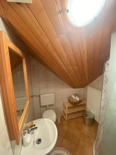 泽高杰耶泽尔斯科Rooms Kočna的一间带水槽和卫生间的浴室