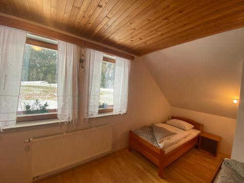 泽高杰耶泽尔斯科Rooms Kočna的一间卧室设有一张床和两个窗户。