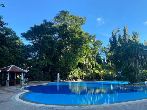 普吉镇Waterfront Suites Phuket by Centara NEW的一座绿树成荫的蓝色游泳池
