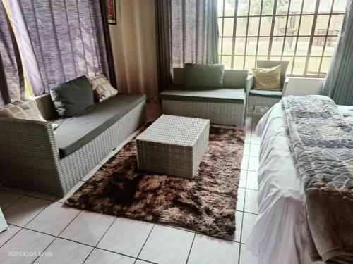 MtubatubaGREEN TREE的带沙发、椅子和窗户的客厅