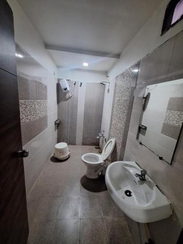 KalolHotel Nayan palace的一间带卫生间和水槽的浴室
