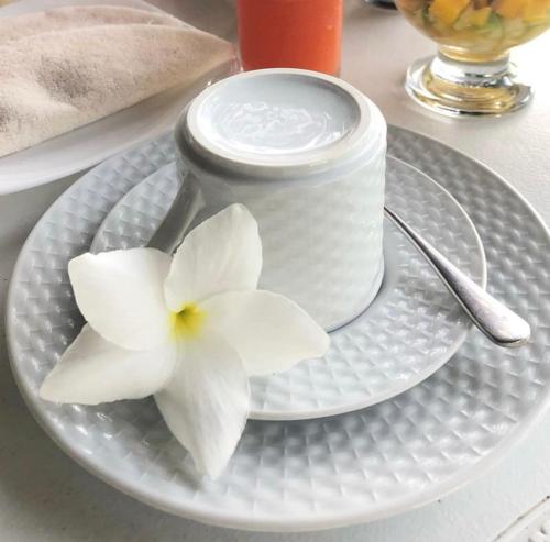 巴拉格兰德Luar do Leão Bungalow的白色的花板,桌子上有一朵白色的花
