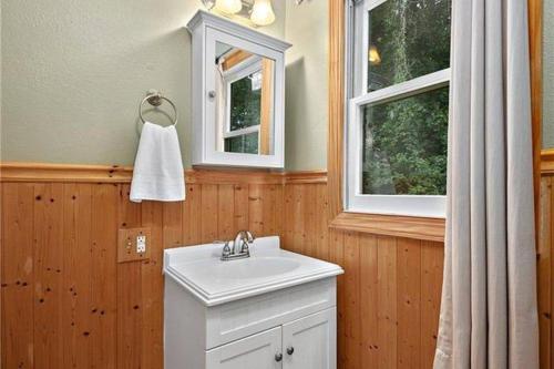 GertonHickory Nut Hideaway by AvantStay Mountain Views的一间带白色水槽的浴室和两个窗户
