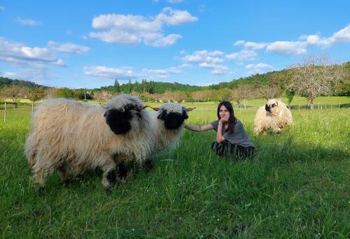 蒙蒂尼亚克Ferme des Petites Oreilles 4 étoiles的一位妇女 ⁇ 在田里,两只羊