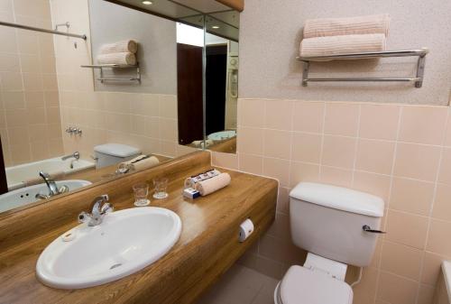 奥茨胡恩奥茨胡恩酒店的一间带水槽、卫生间和镜子的浴室