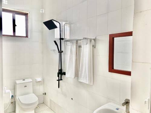 吉汶瓦Asili Nyumbani Residence的白色的浴室设有卫生间和窗户。