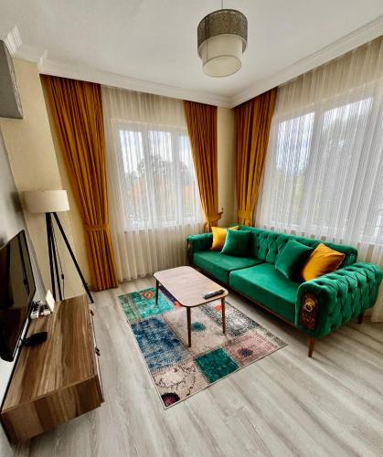 费特希耶MEK HOMEs 2的客厅设有绿色沙发,配有窗户