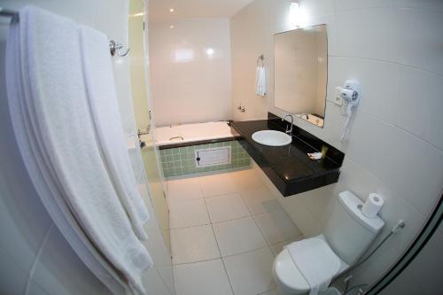阿拉卡茹Araras Praia Hotel的一间带卫生间、水槽和镜子的浴室