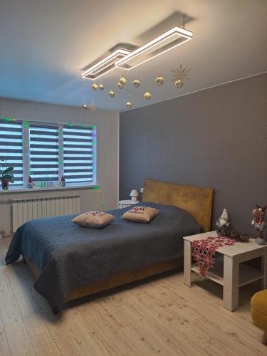纳尔瓦Rakvere studio的一间卧室配有一张带两个枕头的床