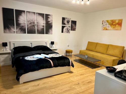 布拉迪斯拉发Studio Apartment Dandelion的一间卧室配有一张床和一张沙发