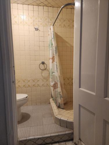 墨西哥城安妮斯旅馆的一间带卫生间和淋浴帘的浴室