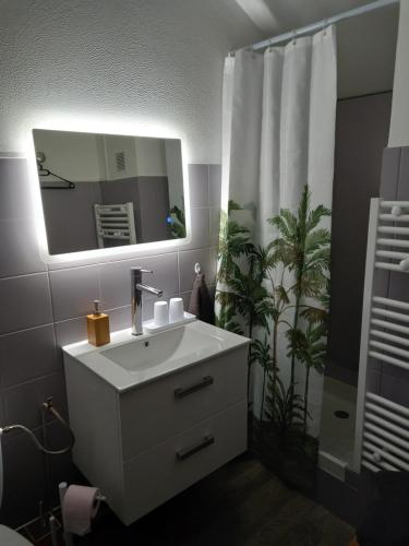Revigny-sur-OrnainStudio tout équipé的一间带水槽、镜子和淋浴的浴室