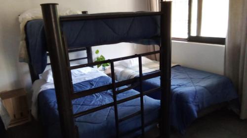 坎昆Naranjo Hostel的带双层床的客房中的一张双层床,冒着险