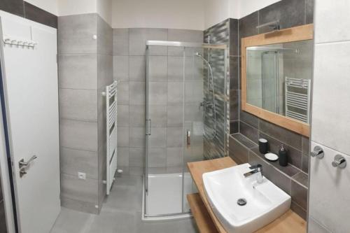 伏尔塔瓦河畔利普诺Apartment KORZO 318/3的一间带水槽和淋浴的浴室