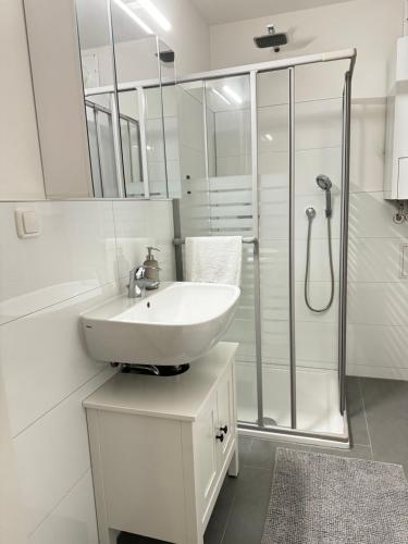 卢肯瓦尔德Haus Gitta II的白色的浴室设有水槽和淋浴。