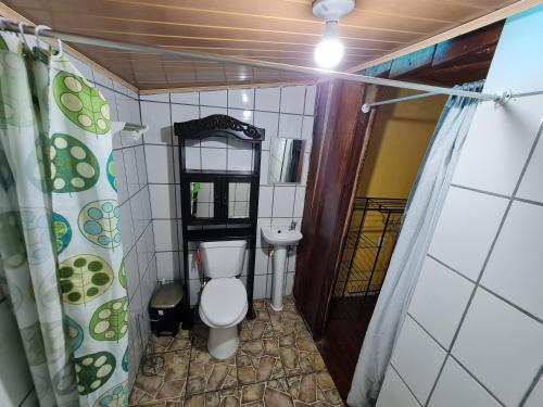 德雷克Hostel Yinary的一间带卫生间和水槽的小浴室