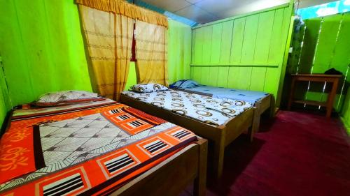 MazánARAPARI AMAZON LODGE的绿墙客房内的两张床