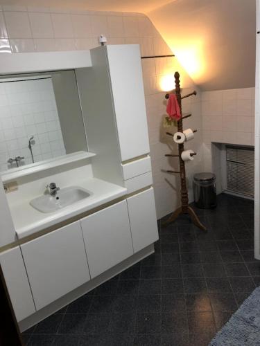 Chapelle-lez-HerlaimontFerme D’Herlaimont的一间带水槽和镜子的浴室