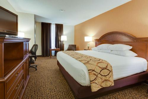 芬顿圣路易斯芬顿梨树酒店的配有一张床和一台平面电视的酒店客房