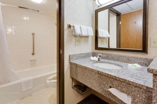 芬顿圣路易斯芬顿梨树酒店的一间带水槽、卫生间和镜子的浴室