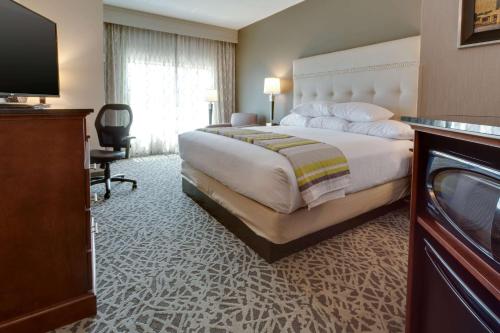 匹兹堡匹兹堡机场塞特斯里奇德鲁里酒店的酒店客房设有一张大床和一台电视。