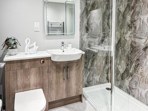 CaeathroYsgubor - Uk31389的浴室配有卫生间、盥洗盆和淋浴。