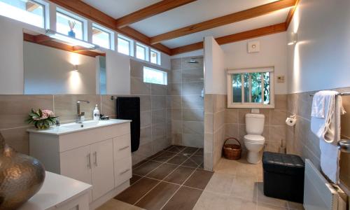 WoodbridgeWanderers Cottage的一间带卫生间和水槽的浴室