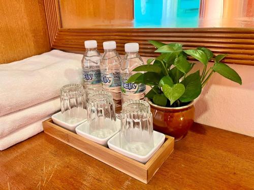 马六甲Heng Ann Guest House的装有瓶装水和盆栽的托盘