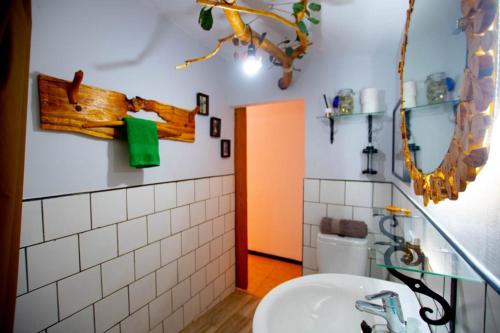 大加那利岛拉斯帕尔马斯Finca pajaritos的一间带卫生间、水槽和镜子的浴室