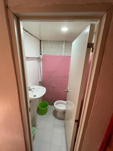 BatuanFely's Homestay的一间带卫生间和水槽的小浴室