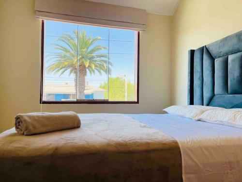 Hermosa Casa completa en Arequipa的卧室拥有一棵棕榈树,位于窗户外