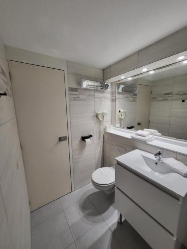 瓦尔瑟里恩河畔贝勒加尔德奇利亚贝尔嘉德酒店 - 日内瓦的一间带卫生间、水槽和镜子的浴室