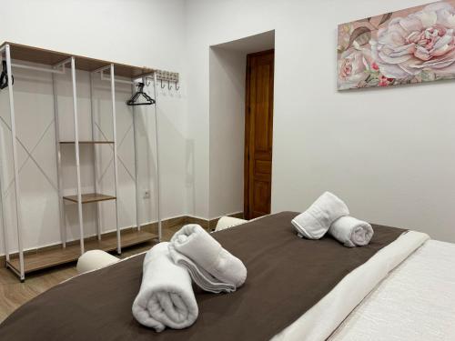 科尔多瓦Noches de Córdoba的一间卧室配有带毛巾的床