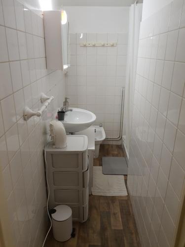 Saint-Martin-de-Saint-MaixentMaison d'hôtes du Faubourg Charrault Saint Maixent L'Ecole的白色的浴室设有水槽和卫生间。